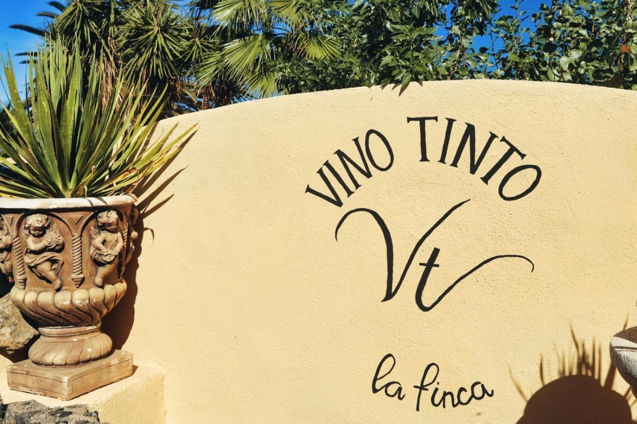 Finca Vino Tinto 4 Icod De Los Vinos Exteriör bild